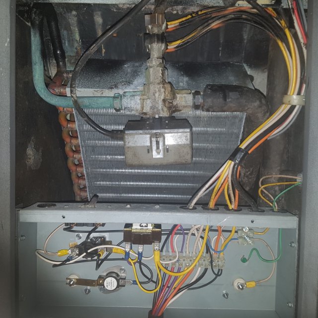 这样的天气不可能没有Heat的